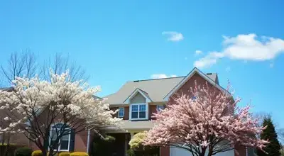 Spring roof maintenance tips